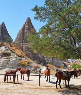 Photo 000034