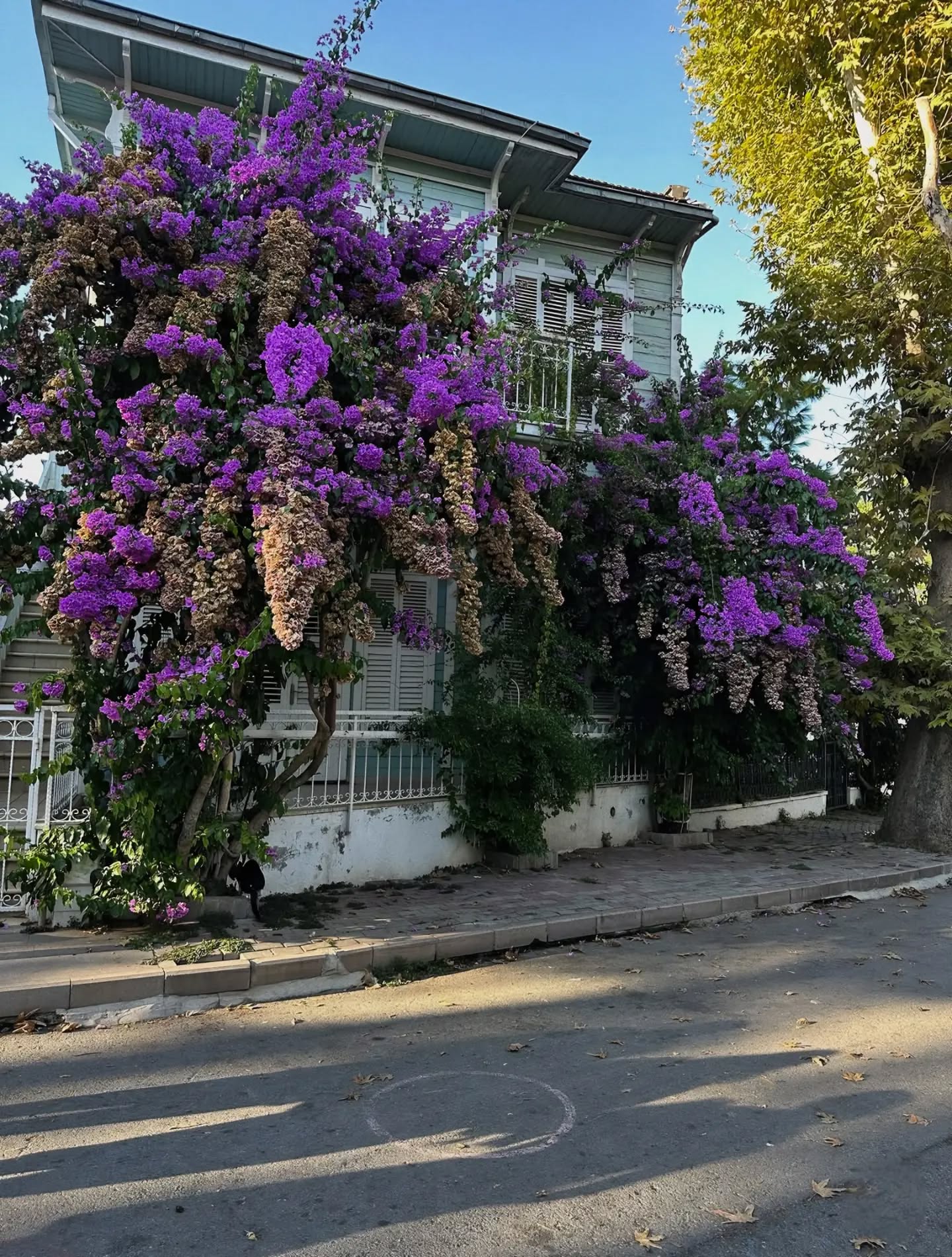 Photo 000010